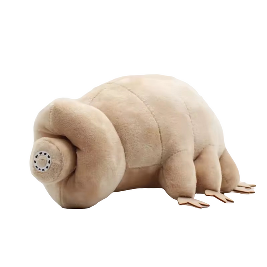 Tardigrade