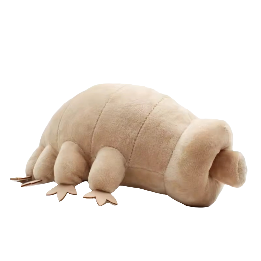 Tardigrade